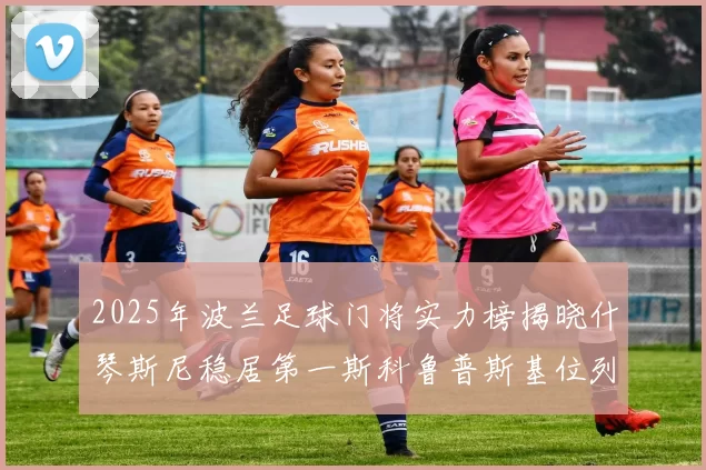 2025年波兰足球门将实力榜揭晓什琴斯尼稳居第一斯科鲁普斯基位列第三